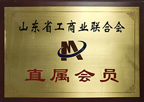 公司荣誉