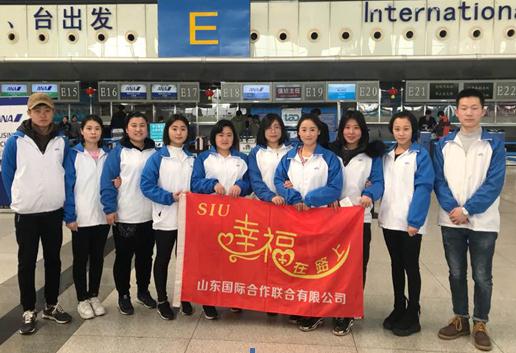 NG电子通用行业大宗贸易综合服务网页标准配置图片