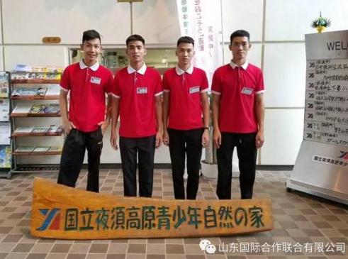 NG电子移动办公OA系统手机版APP下载中心