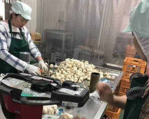 NG电子文体卫生产业设备集采综合服务平台