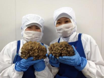 NG电子全站经销商管理平台注册与资质审核入口