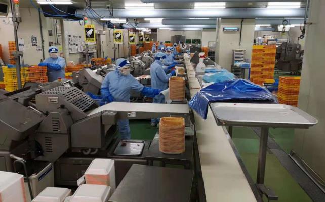 NG电子全站商务合作信息公开网站内容管理中心图片