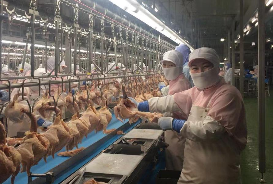 NG电子官方响应式多终端网页版面配置管理图片