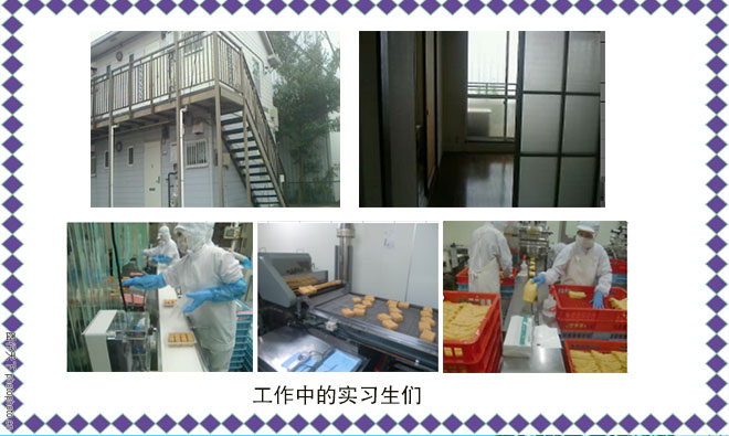 NG电子官方标准数据总线与企业商务管理系统图片