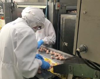 NG电子通用行业大宗贸易综合服务网页标准配置