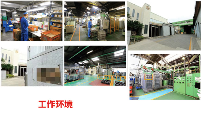NG电子通用行业大宗贸易综合服务网页标准配置图片